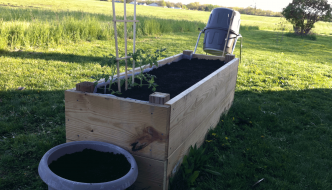 what-to-plant-in-a-wheelchair-accessible-raised-garden