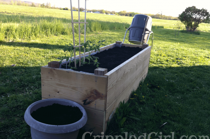Filling an Accessible Garden Box