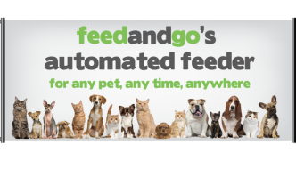 Line-of-cats-and-dogs